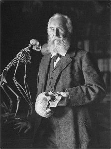 Ernst Haeckel - prekursor