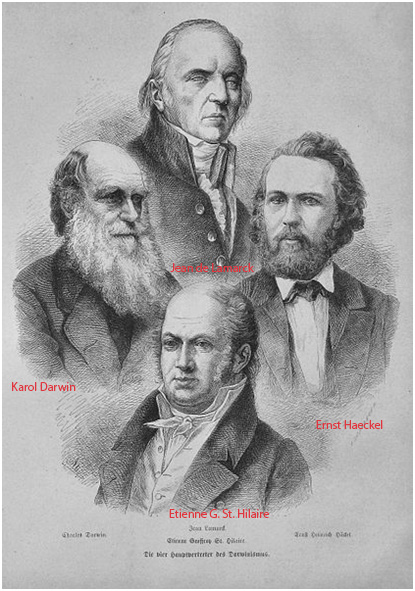 Ernst Haeckel: Ewolucjoniści, XIX w.